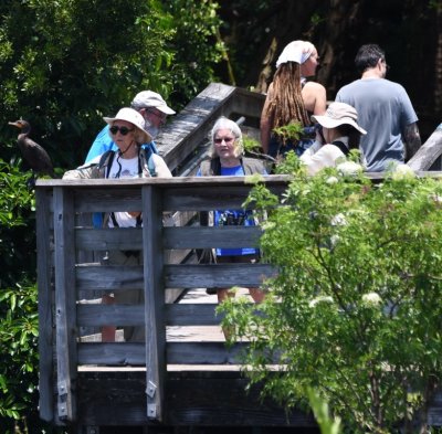 Wes (behind), Jane, Hannah and Phoenix