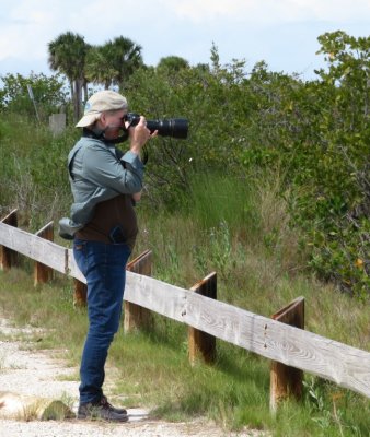 Jan, photographing the Reddish Egret