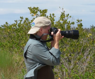 Jan, trying again to capture the Reddish Egret