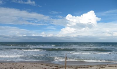 The Atlantic Ocean from the Canaveral National Seashore