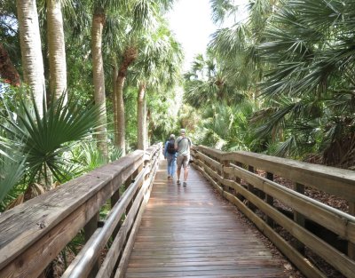 Wakodahatchee Wetlands is a water treatment facility, but has a great habitat for birds and well-built boardwalks throughout for visitors.