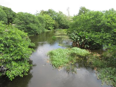 Wakodahatchee Wetlands