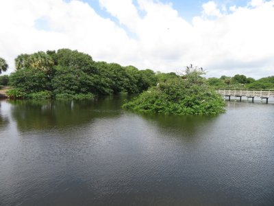 Wakodahatchee Wetlands, Ft Lauderdale, FL