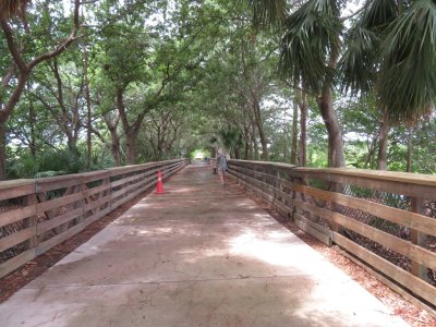 Steve walking the path on the back side of the Wakodahatchee Wetlands