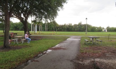 From Green Cay, we went to Brian Piccolo Park in Davie, FL, to look for Burrowing Owls. They were so close Steve and Mary were able to sit on park benches to photograph them.