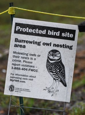 Sign designating the owl habitat