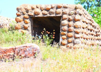 Rock structure with wildflowers