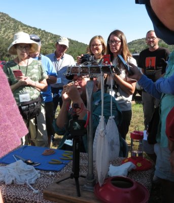 Kelly Bryan inspects the bill of a bird while Nancy R and others watch. The hanging bags contain birds waiting to be measured, weighed and banded. 