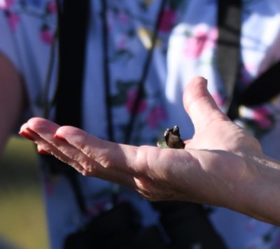 And Nancy V gets to release the bird.