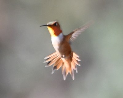 DSC_0209b.jpg