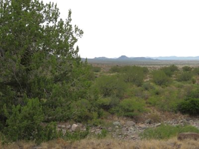 Looking back to toward the Davis Mountains in the distance