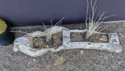 Log planter