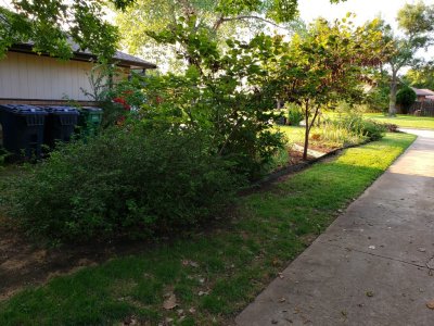 Long view of the middle and north beds after installing the connecting bed