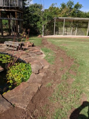 The filled-in trench from the trellis outlet to the pond.