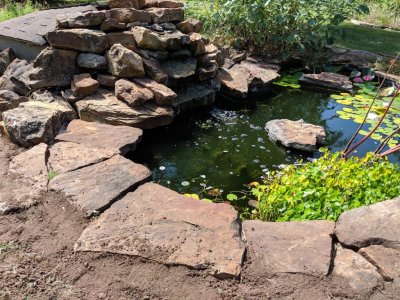I added some dirt to the trench around the pond to raise the level to the edge of the pond border rocks and make it easier to mow.