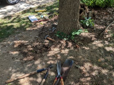 The south bed was the first one I installed years ago and the stakes holding the old edging were so stuck in the ground I had to use the small sledge to break them loose.