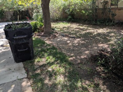 Combining Front Yard Boat Beds, Sep 2019