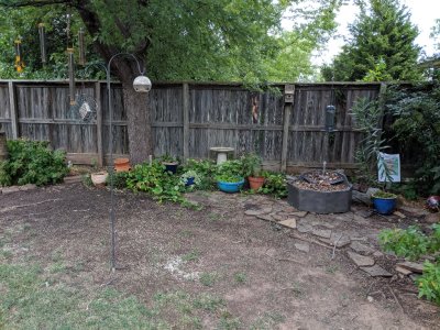 I had moved all the back porch plants to the courtyard while we were getting the back of the house painted and we enjoyed seeing them from the sunroom. Instead of moving them back to the porch, I moved them to surround the fountain.