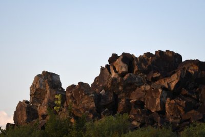 That's the Rock Squirrel in the middle of the photo.