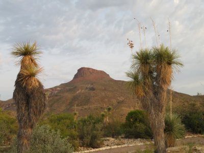 Landscape around state park visitor center