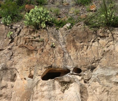 The bluff was pock-marked with caves and holes.