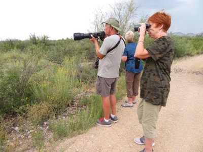 Steve, Nancy V and Nancy R, looking at birds in the low-growing plants beside the road at Dugout Wells