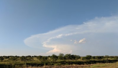 Thunderhead in south Texas