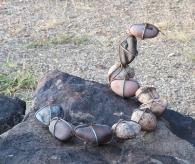 And the only snake we saw on the trip.