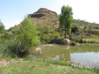 The north end of the lake