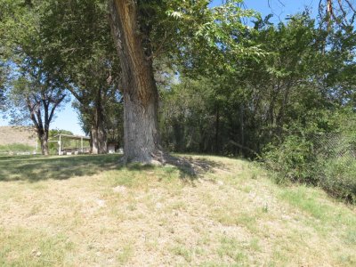 Looking west along the north end of the park at a pavilion and picnic tables