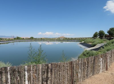 Our next stop was the retention ponds at the Buffalo Thunder Resort and Casino.
