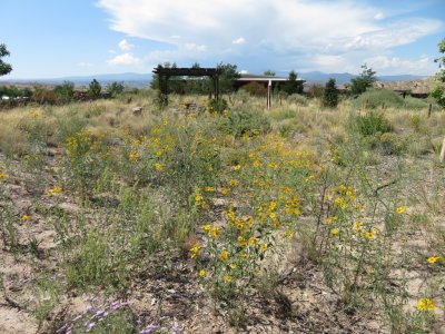 View of the Center from out on the path through the grounds