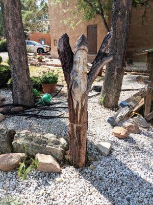 We all drove over to see the condo where Kay, Kevin and Kraettli had been staying and I found this tree trunk art across the street from it.