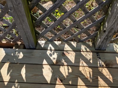 IMG_20180920_172701.jpg