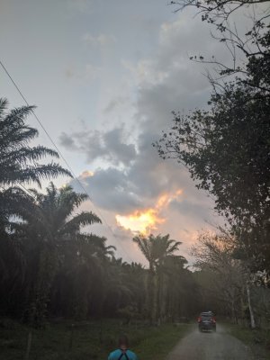 It got cloudier and darker, but we were still birding.