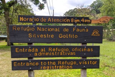 Though we were running short of time before lunch, Chito decided we would take a quick look inside Refugio Nactional de Fauna Silvestre Golfito. We stopped at the administration building for a restroom break and chance for Chito to consult with staff, then we walked the grounds. 