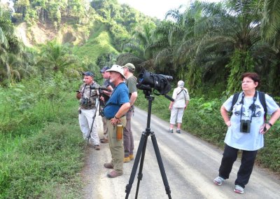 Chito played the call of the White-throated Crake while Derek, Tom, Jody, Ann and Deb listened.