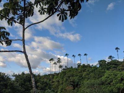 We heard in our orientation later in the afternoon that the row of palm trees on the horizon are iconic for the station and one that has died has become home to multiple cavity-dwelling birds.