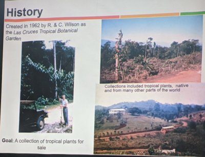 A couple, Robert and Catherine Wilson, started the botanical gardens later named after them. Their original aim was to grow and sell tropical plants.