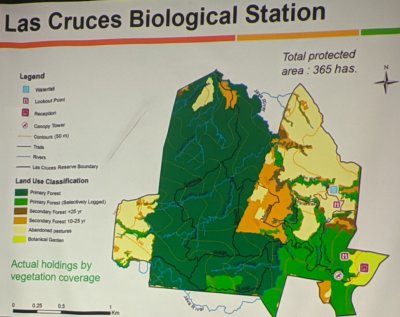 Vegetation map of the property
