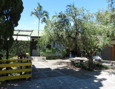 The view from the patio, looking back to a bird feeder on the left, bottle brush tree in the middle and the dining area behind.