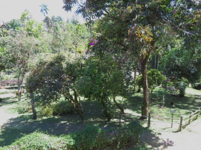 Part of the view below the patio