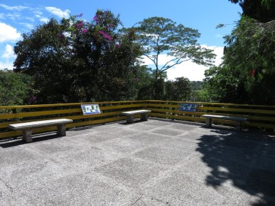 The patio at Wilson Botanical Gardens/Las Cruces Biological Station, Costa Rica