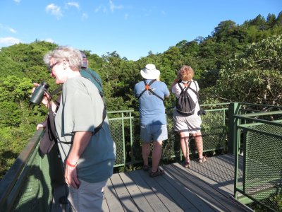 We made it to the observation tower and were rewarded with a 360-degree view of the canopy and sky above; Leigh, Derek (behind), Tom and Fran take first looks.