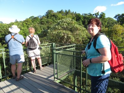 Tom, Fran and Deb, atop the Las Cruces Biological Station observation tower
