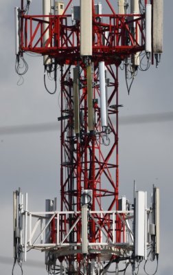 After chasing vultures away from it, a Peregrine Falcon landed on the microwave tower across the highway.