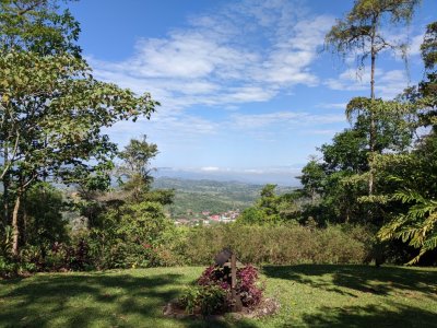 The view from the garden and lawn