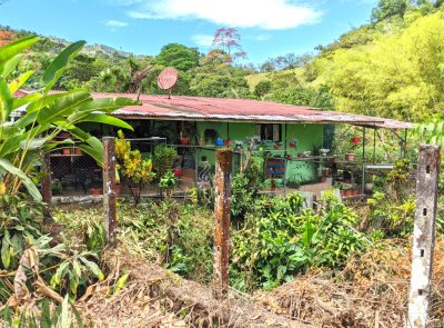 Back of an interesting house along the road where we were walking at Tres Rios