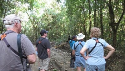 Some of us took the bus a short way down the highway (Chito wanted us to avoid getting hit by motorists) and walked down an unnamed road on the opposite side of the highway from the biological station: Steve, Derek, Chito, Tom and Fran.