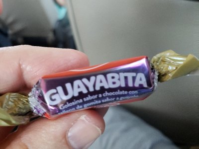 By 8:20AM, we were on the bus and Chito was telling his life story, how he learned English and became a birding guide. He handed out a treat for us, chocolate over a guava center--very tasty--of the brand Gallita, so he said we were eating 'little rooster' candies.